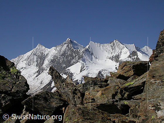 Foto: Mischabel von NE (Aufstieg zum Jegihorn)
Täschhorn, Dom, Lenzspitze, Nadelhorn, Stecknadelhorn und Hohberghorn. Vorgelagert das Ulrichshorn.