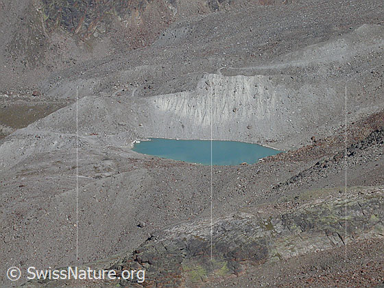 Foto: Bergsee (2768m) ob Saas Balen von N (Gipfel Jegihorn)
Dieser See liegt in einer Permafrostzone und gefährdet Saas Balen. Der Wasser fliesst durch den Gletscherbach Fellbach an der Grubenalp vorbei hinunter nach Saas Balen.