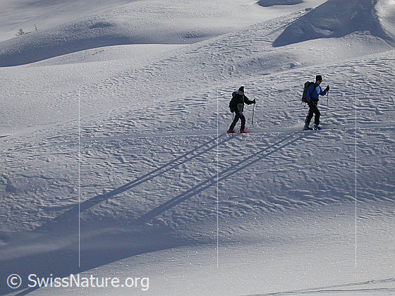 Foto: 2 Skitourenfahrer bei der Querung von Triebschnee.