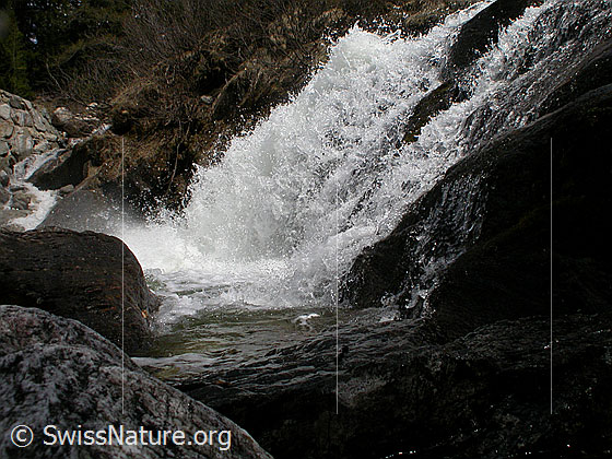 Foto: Wasserfall im Mässerbach während Schneeschmelze.