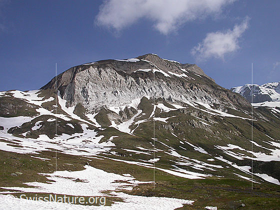 Foto: Turbechepf von SW (Wyssi)