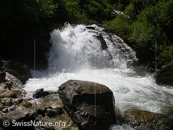 Foto: Wasserfall im Mässerbach während Schneeschmelze.