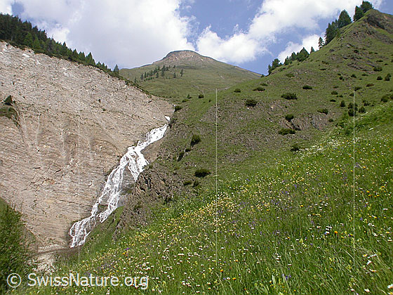 Foto: Wasserfall am Ausgang des Fäldbachtals während Schneeschmelze. Im Hintergrund das grosse Fülhorn.
