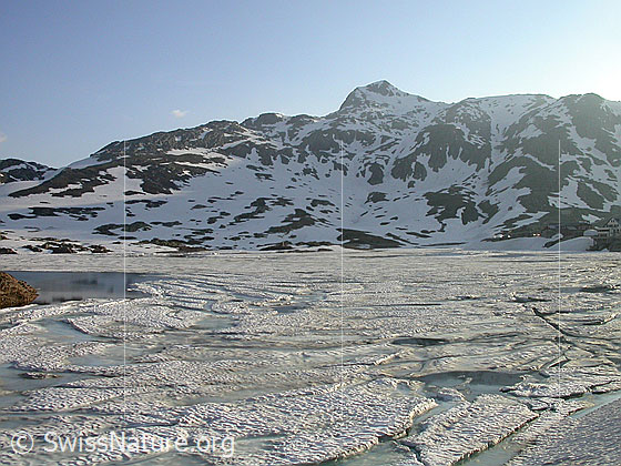 Foto: Grimselpass: Grimselgebiet / Berner Oberland
Im Hintergund: Sidelhorn.