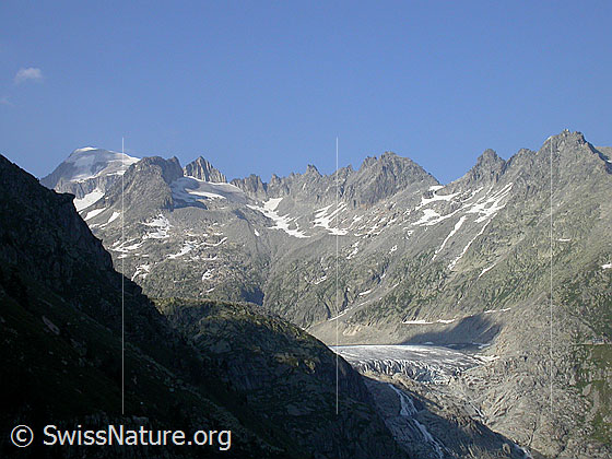 Foto: Rhonegletscher von WSW 
Im Hintergrund: Galenstock, Sidelenhorn, Gr. Furkahorn und Kl. Furkahorn