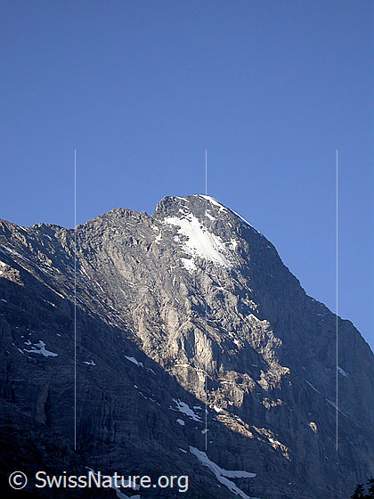 Foto: Gipfel des Eiger mit Mond von NNE (Grindelwald)
Gut zu sehen ist der Mittellegigrat und die NNE-Wand mit dem Lauper-Eisfeld.