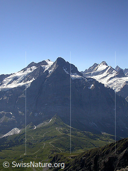 Foto: Rosenhorn, Mittelhorn, Wetterhorn, Lauteraarhorn und Schreckhorn von N (Gipfel Schwarzhorn)
Unter dem Wetterhorn: Die Grosse Scheidegg.