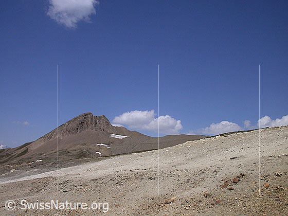 Foto: Holzjihorn von ESE.