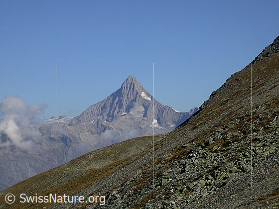 Foto: Im Aufstieg zum Spitzhorli (Nanzlicke): Blick zum Bietschhorn.
