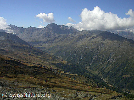 Foto: Gipfel Spitzhorli: Blick über das Nanztal zu Mattwaldhorn und Simelihorn.