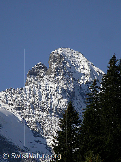 Foto: Überzuckerter Gipfel des Gspaltenhorn von NE (Mürren)
Links vom Gipfel sind die Roti Zend zu sehen.