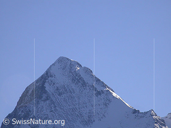 Foto: Gipfelaufbau des Eiger von W (Mürren)
Zu sehen ist der oberste Teil der Westflanke.