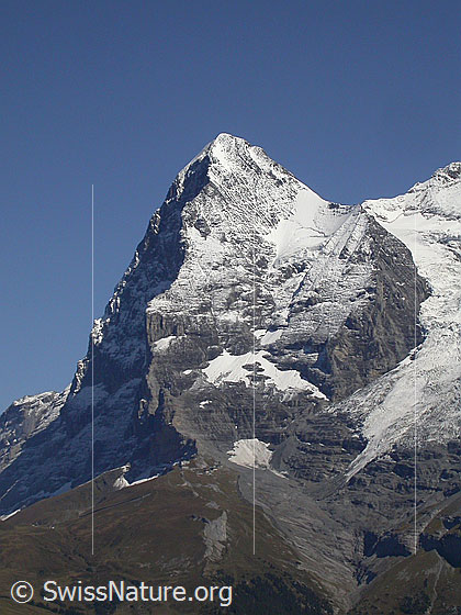 Foto: Eiger von W (oberhalb Mürren).
Zu sehen ist die im Schatten liegende Nordwand, die Westflanke und ein Teil des Eigergletschers.