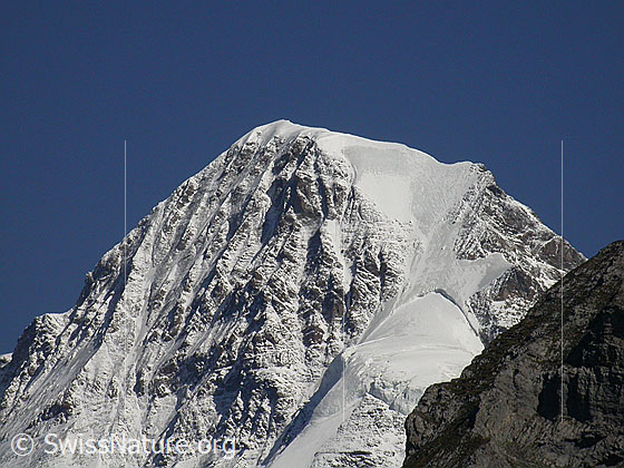 Foto: Gipfel des Mönch von W (Mürren)
Gut zu sehen ist die Nordwandrippe, die Nordwand und der Nollen. Im Vordergrund ein Ausläufer des Schwarzmönch.