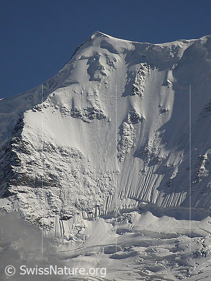 Foto: Äbeni Flue mit Nordwand NNW (Mürren)
Am Fuss der Wand der Stuefesteigletscher.