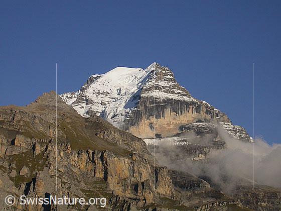 Foto: Schwarzmönch, Silberhorn und Rotbrätt von NW (Mürren) im Abendlicht.