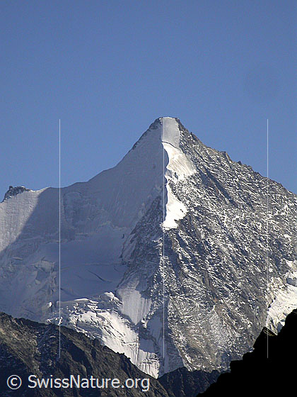 Foto: Obergalbelhorn von NNW. Links der Glacier de l