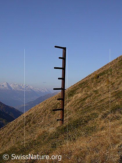 Foto: Schneehöhenmesser am Eggerhorn.