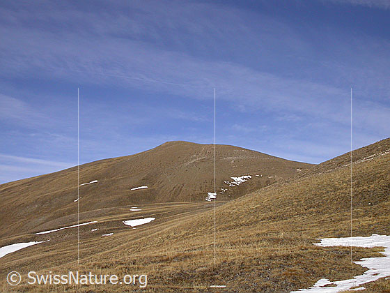 Foto: Herbstlich gefärbte Landschaft im Aufstieg zum Breithorn. In der Bildmitte ist der Vorgipfel zu sehen.
Nach dem Bau von Grengiols Solar wird man hier von Solartischen umgeben sein.