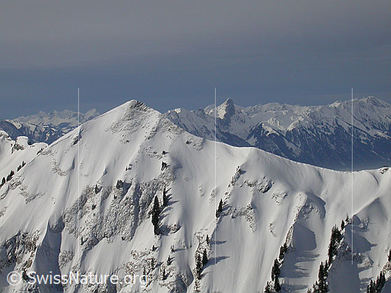 Foto: Sieben Hengste: Blick zum Gipfel des Burst. Im Hintergrund ist das Stockhorn zu sehen.