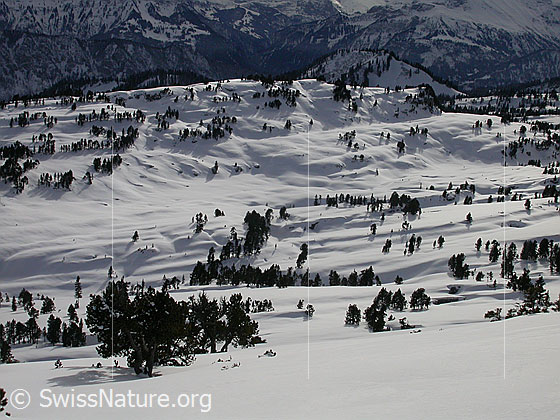 Foto: Sieben Hengste: Blick auf das Seefeld.