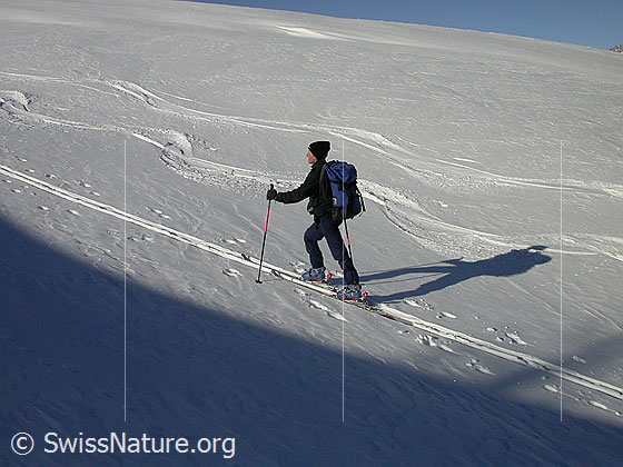 Foto: Auf Skitour