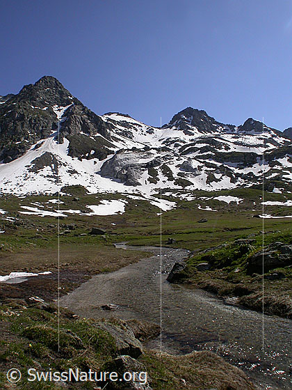 Foto: Wasserlauf bei Balme. Gipfel: Albrunhorn und Bochtehorn.