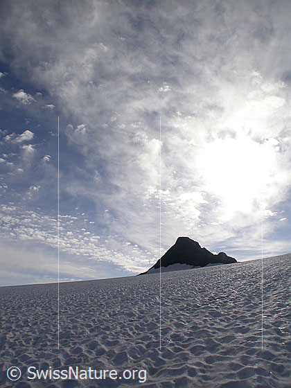 Foto: Blick vom Rappegletscher zur Pyramide des Ober Rappehorn.