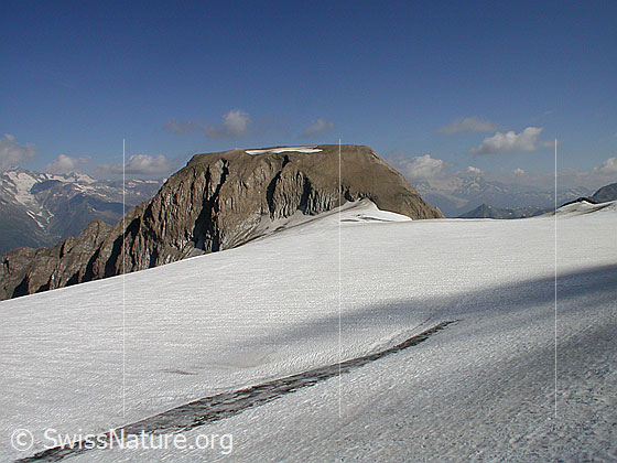 Foto: Rappehorn und Rappegletscher.