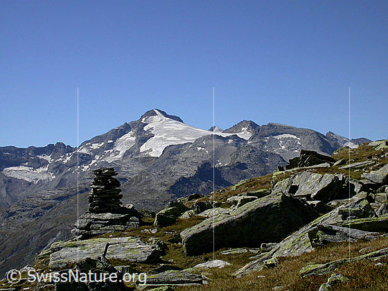Foto: Güferhorn, Rheinwaldhorn, Schwarzhorn und Furggeltihorn. 
Im Vordergrund ein Steinmann.
Blick ca. von Pt 2521 unterhalb Dachberg.