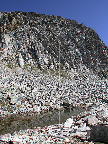 Foto: Fruntseeli, dahinter die Felswände des Dachberg.