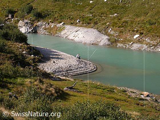 Foto: Fischer am Ufer des Zervreilasee.