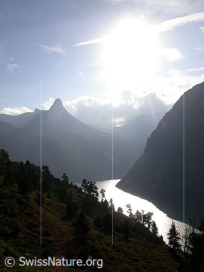 Foto: Zervreilahorn und Zervreilasee im Gegenlicht.