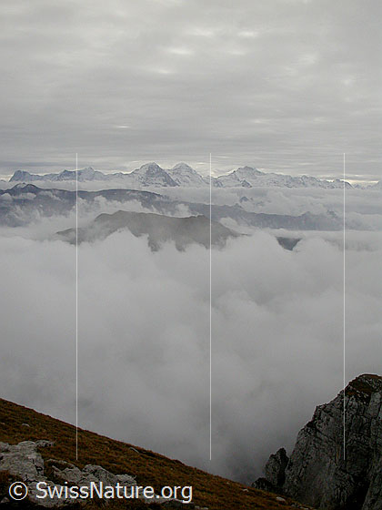 Foto: Hohgant / Furggengütsch: Blick zu den Berner Alpen. Aus den Wolken ragt u.a. das Augstmatthorn. Der Himmel ist mit Schichtwolken überzogen,