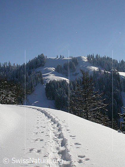 Foto: Winterlandschaft mit Spur (Schneeschuh) im Vordergrund