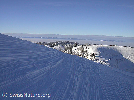 Foto: Vom Wind gerformter Schnee. Im Hintergrund: Farnli und Nebelmeer über dem Mittelland.