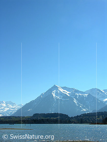 Foto: Blick über den Thunersee zum Niesen.