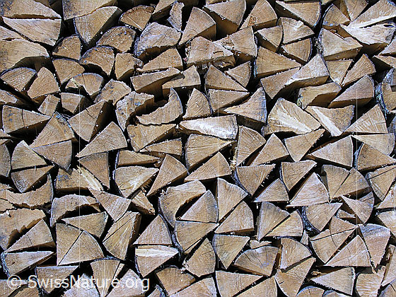 Foto: Gespaltenes und aufgeschichtetes Holz