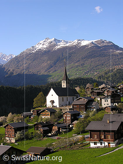 Foto: 