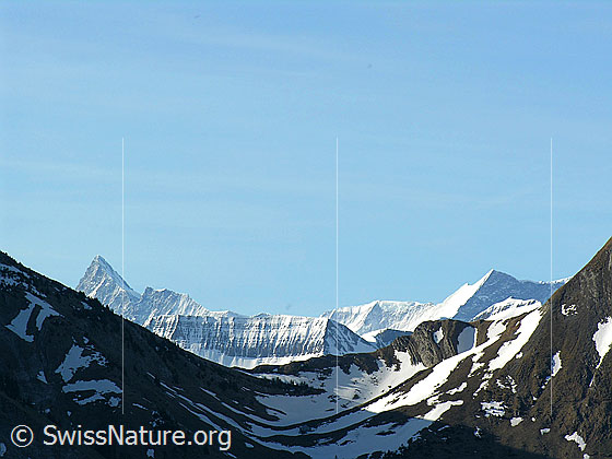 Foto: Im Aufstieg zum Hohgant: Blick zu Finsereraarhorn und Ochs.