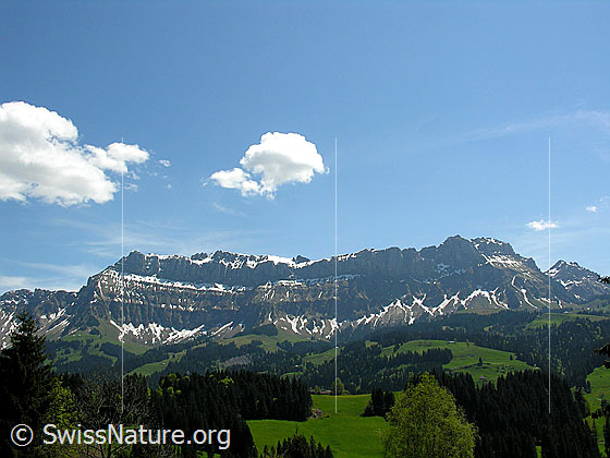 Foto: Blick zum Hohgantmassiv. 
Zu sehen sind: Furggengütsch Drei Bären, Steinigi Matte, Aff, Hohgant West und Trogenhorn.