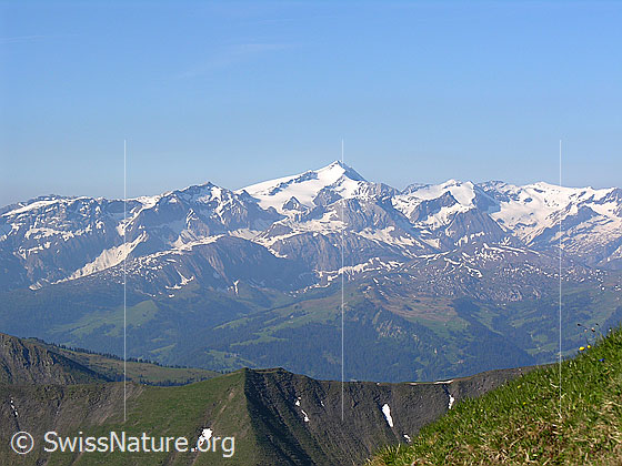 Foto: Blick vom Gipfel Richtung SSW.
Schnidehorn - Wildhorn - Col du Brochet - Geltenhorn - Arpelistock