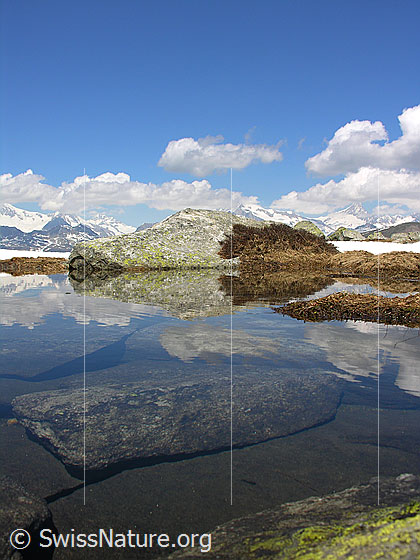 Foto: Blick über den Abfluss des Bergsees. Im Wasser sind Felsblöcke zu sehen. Tolle Spiegelung mit Felsblock, Schnee, den Berner Alpen, Schönwetterwolken und blauem Himmel.