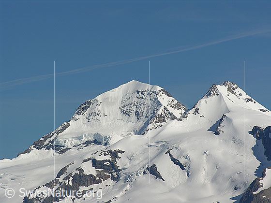 Foto: Blick vom Eggishorn zu Mönch und Trugberg.