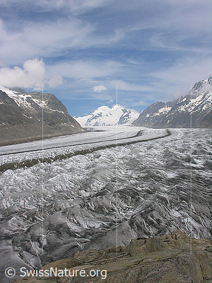 Foto: Am Rand des Aletschgletschers. Blick über den Gletscher mit Mittelmoräne zu Mönch und Trugberg.
