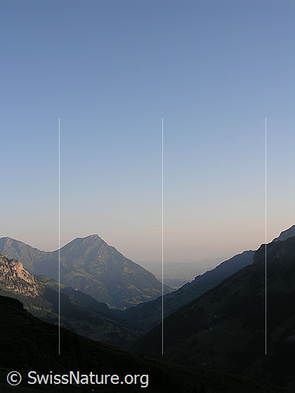 Foto: Morgenstimmung: Blick über das Kiental zum Niesen