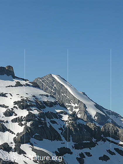 Foto: Fründenhorn. Über den Firnrücken verläuft die Normalroute.