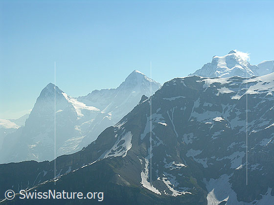 Foto: Eiger, Mönch und Jungfrau von W.
Im Vordergrund die Vorderi Bütlasse.