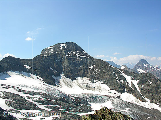 Foto: Blick vom Gipfel zu Bortelhorn und Steinugletscher. Im Hintergrund das Wasenhorn.