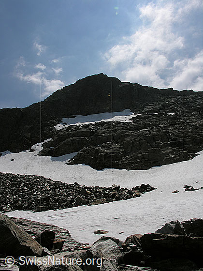 Foto: Rothorn von N